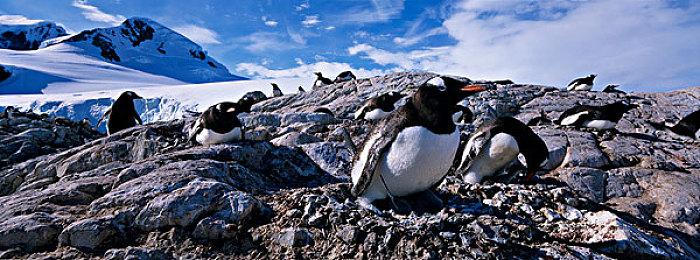 《永劫无间》职业联赛NBPL常规赛6月3日