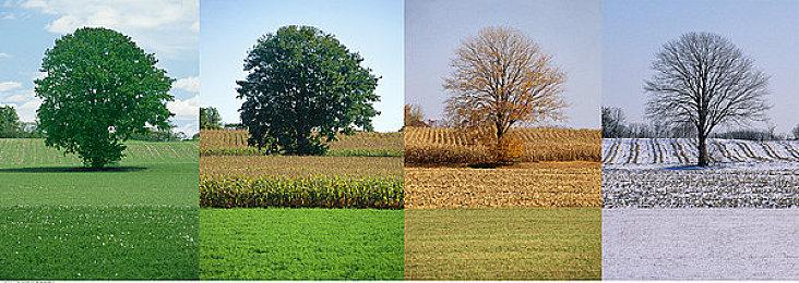 TGA 2022：《After Us》预告 支持简体中文