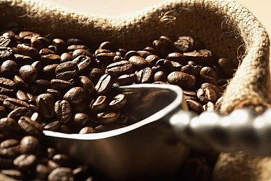 《蒸汽世界：劫掠2》深度解析预告片分享